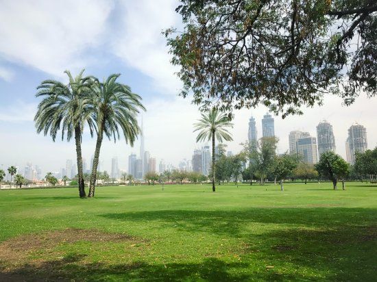 Parco Safa